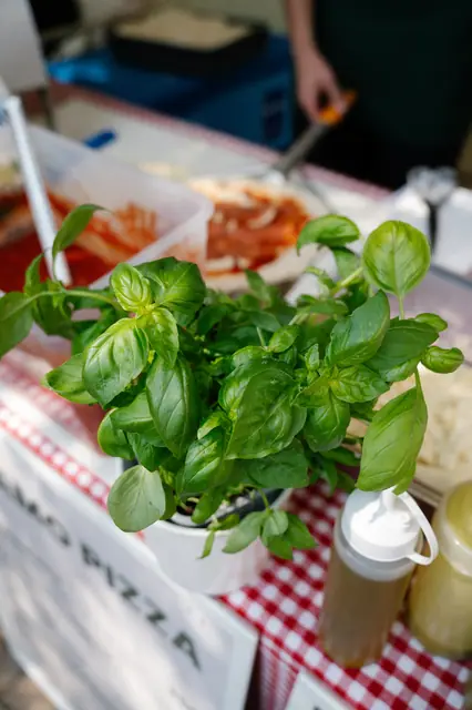 Letní pop-up DAMO PIZZA v Knollu — fotka 16 z 72
