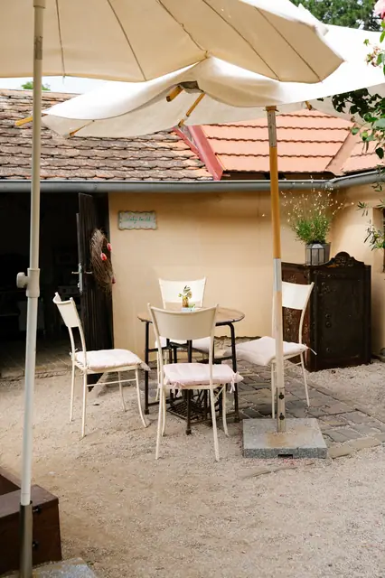Letní pop-up DAMO PIZZA v Knollu — fotka 39 z 72