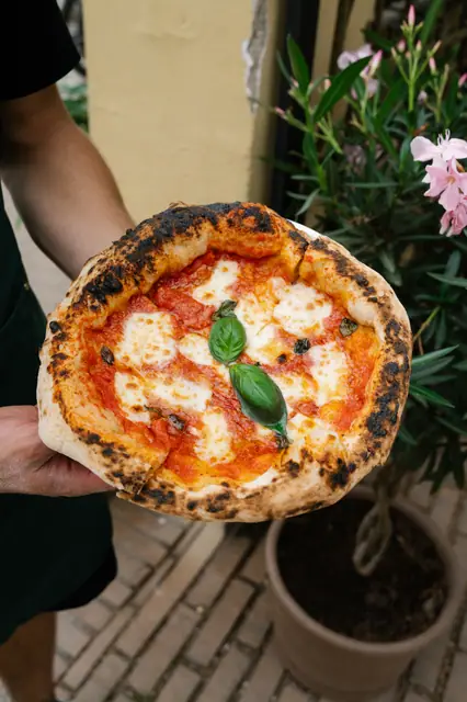 Neapolská Margherita s bazalkou v ruce pizzaiola na zahradě Knollu